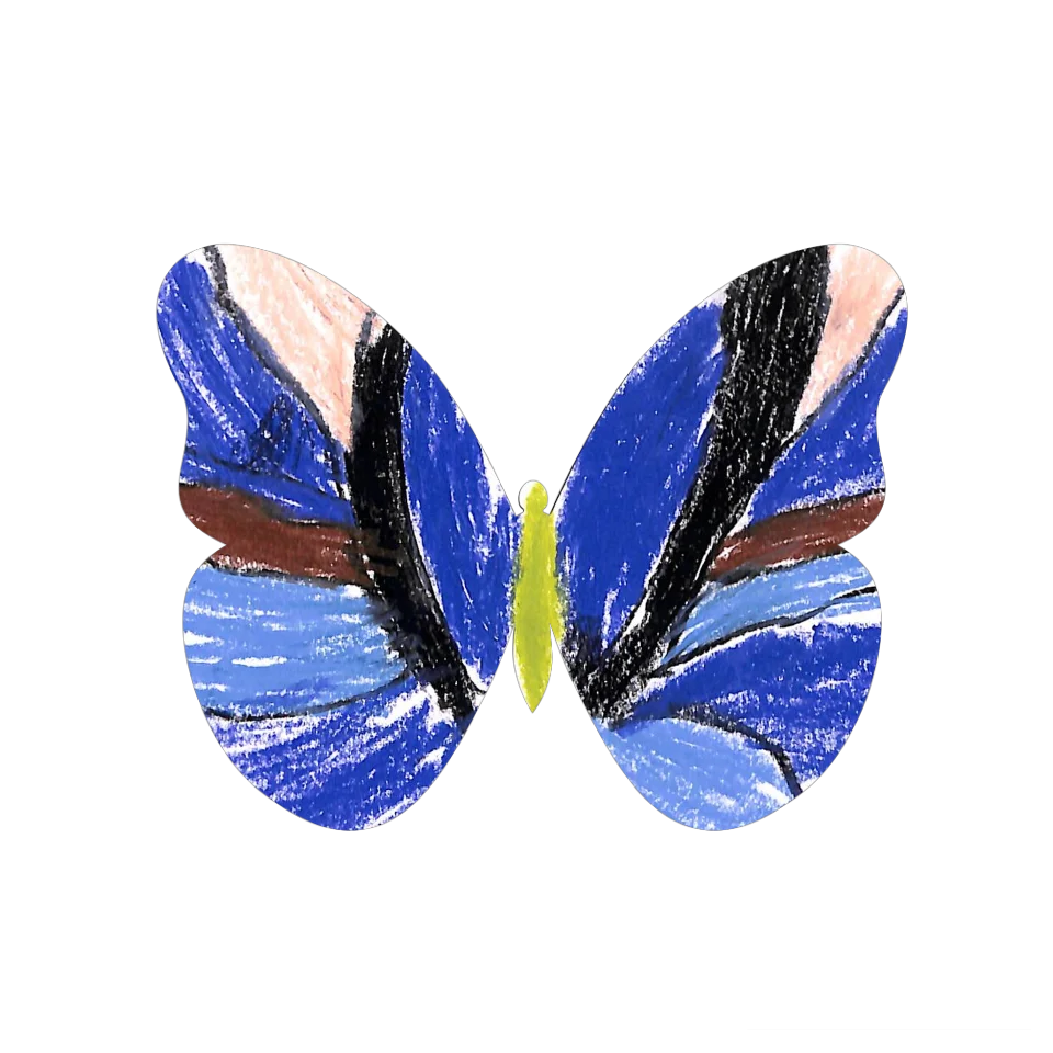 Original Butterfly Image