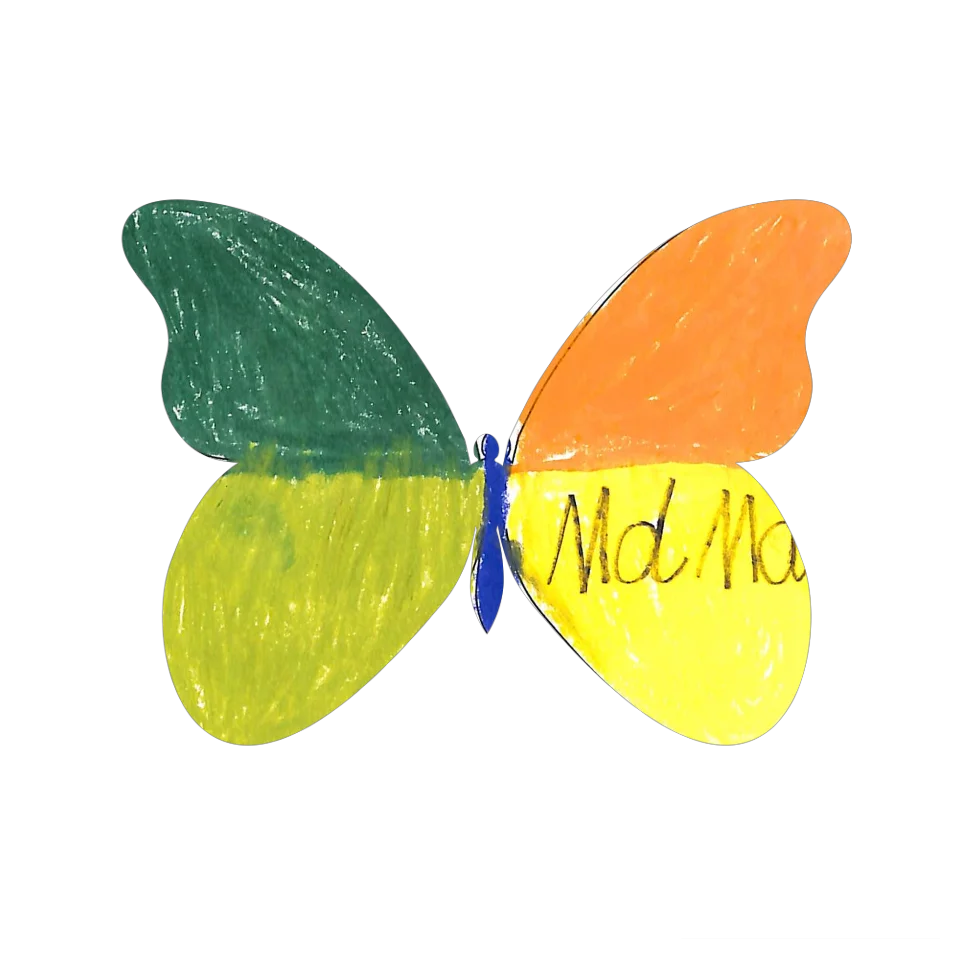 Original Butterfly Image