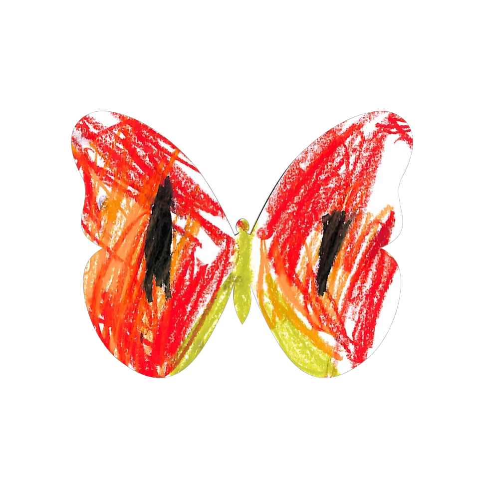 Original Butterfly Image