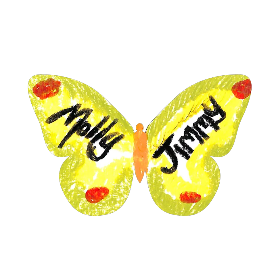 Original Butterfly Image
