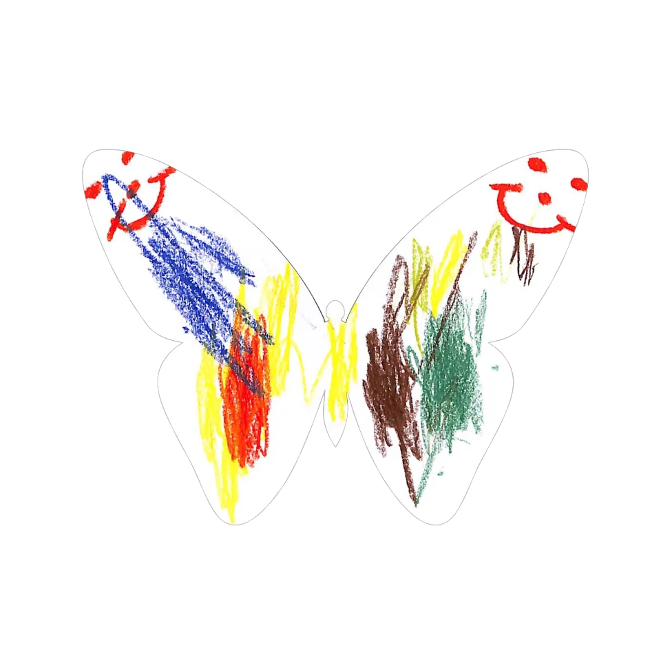 Original Butterfly Image