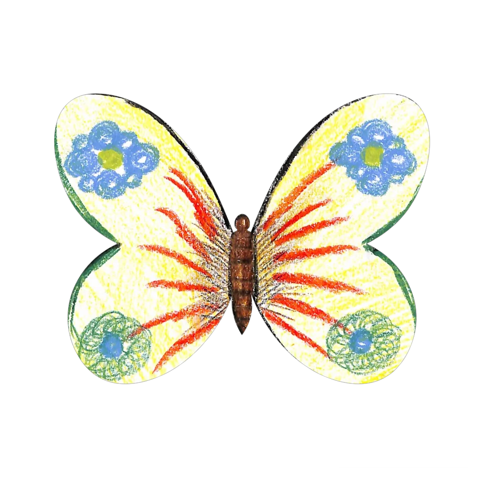 Original Butterfly Image