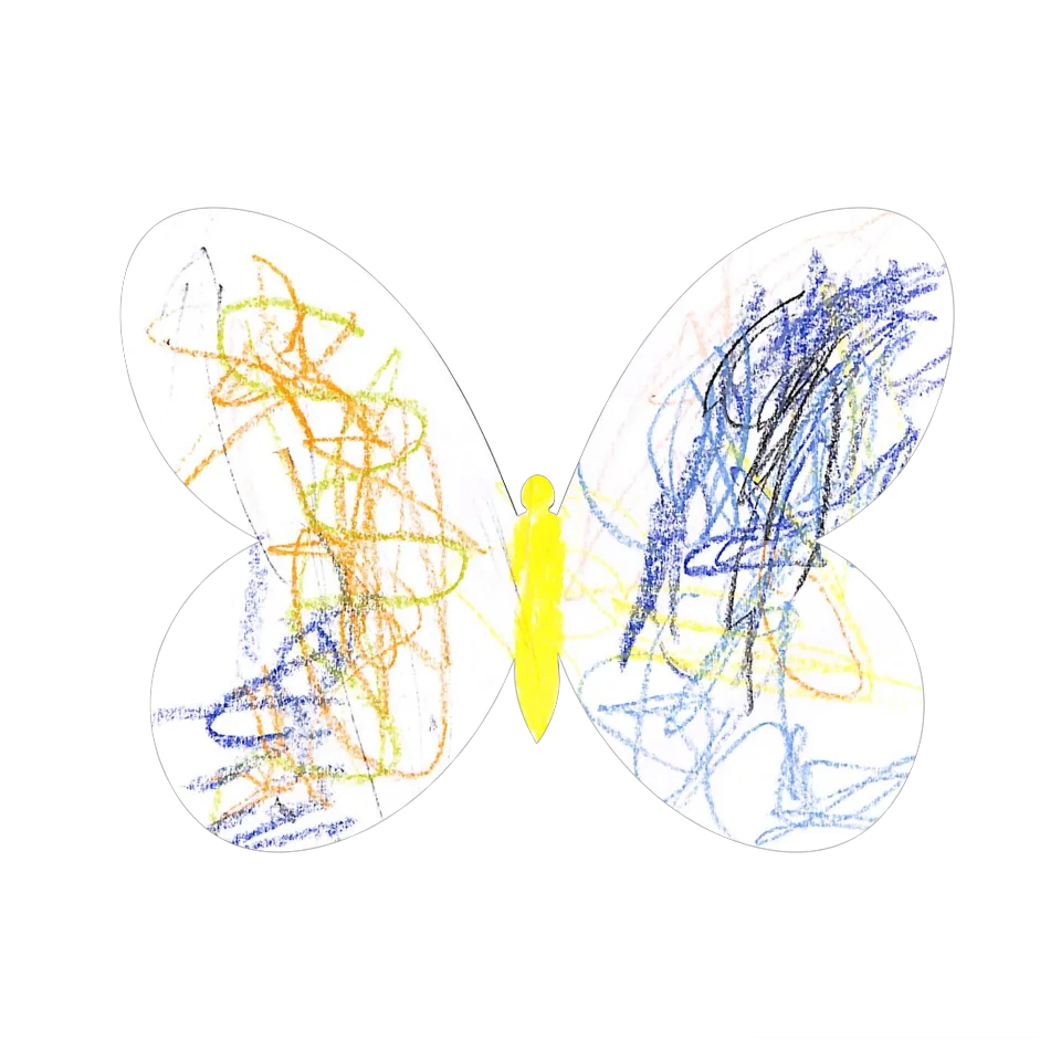 Original Butterfly Image