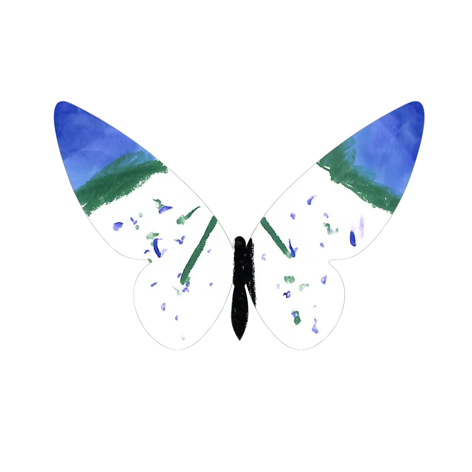Original Butterfly Image