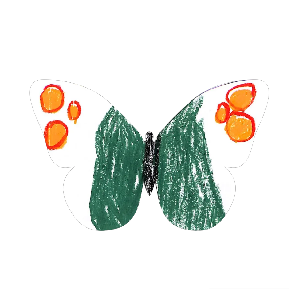 Original Butterfly Image