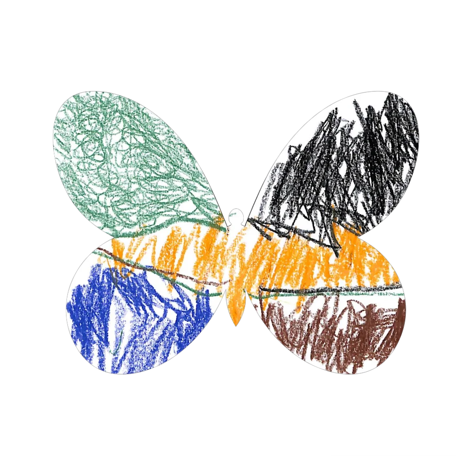 Original Butterfly Image