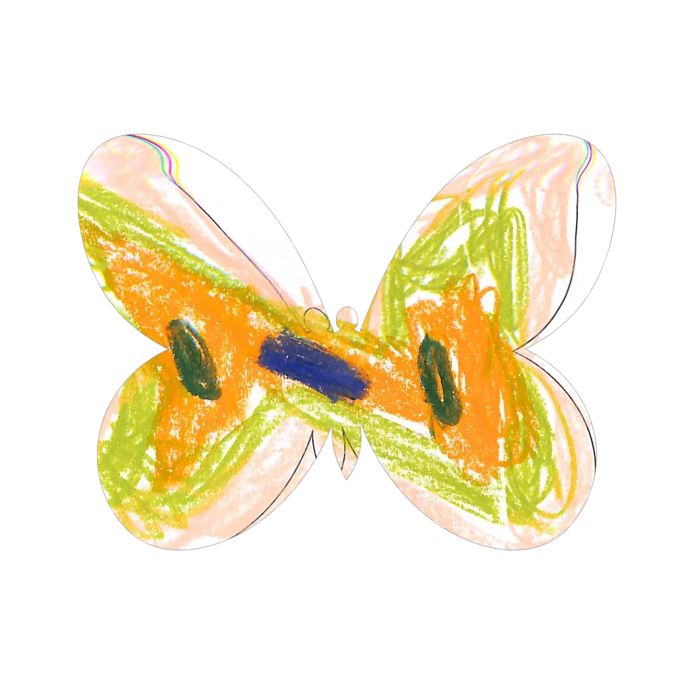 Original Butterfly Image
