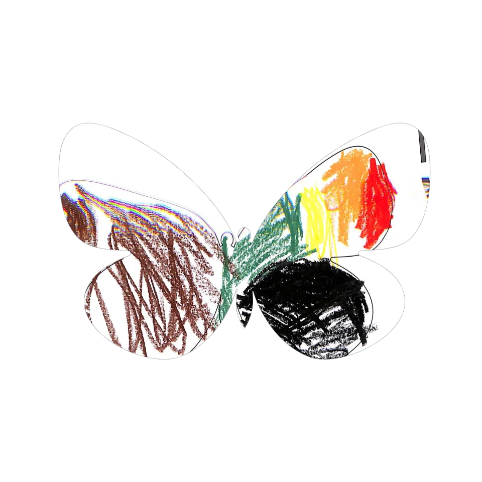 Original Butterfly Image