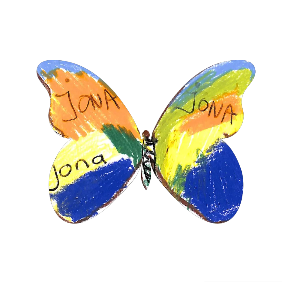 Original Butterfly Image