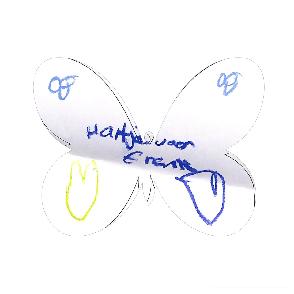 Original Butterfly Image