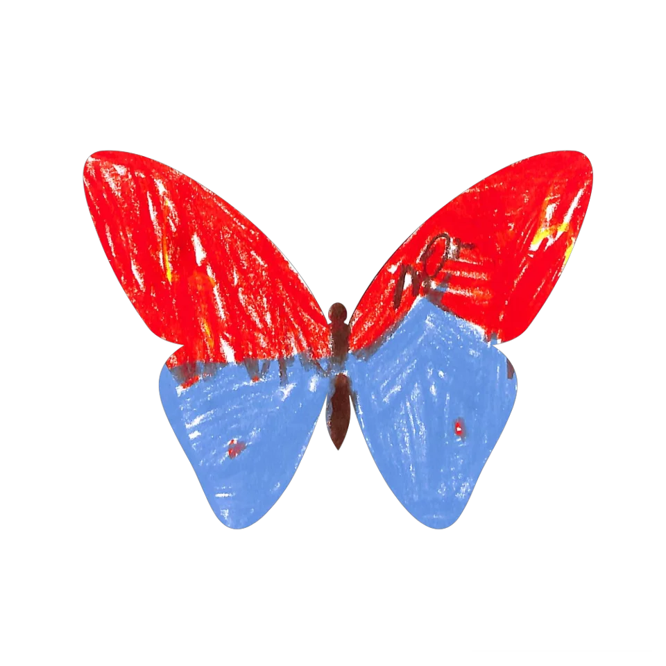 Original Butterfly Image