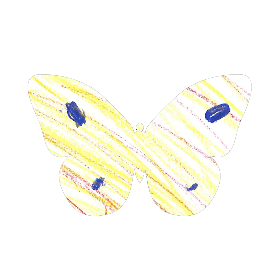 Original Butterfly Image