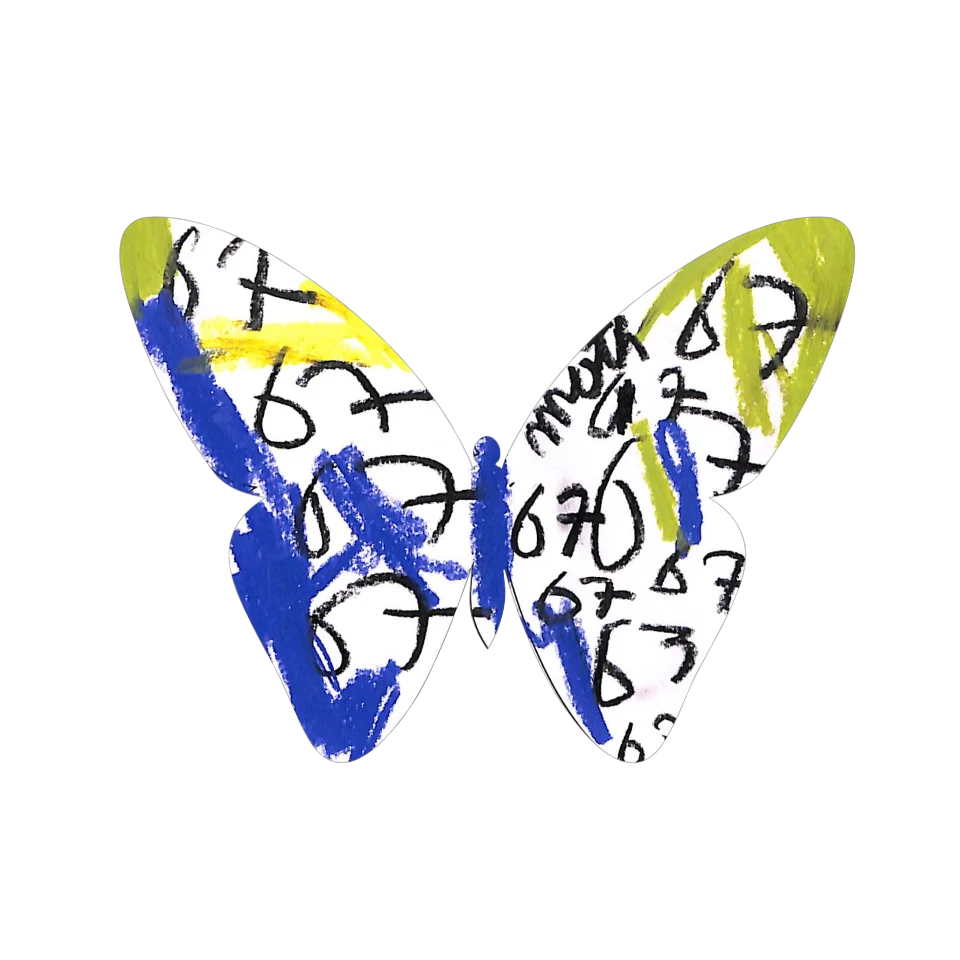 Original Butterfly Image