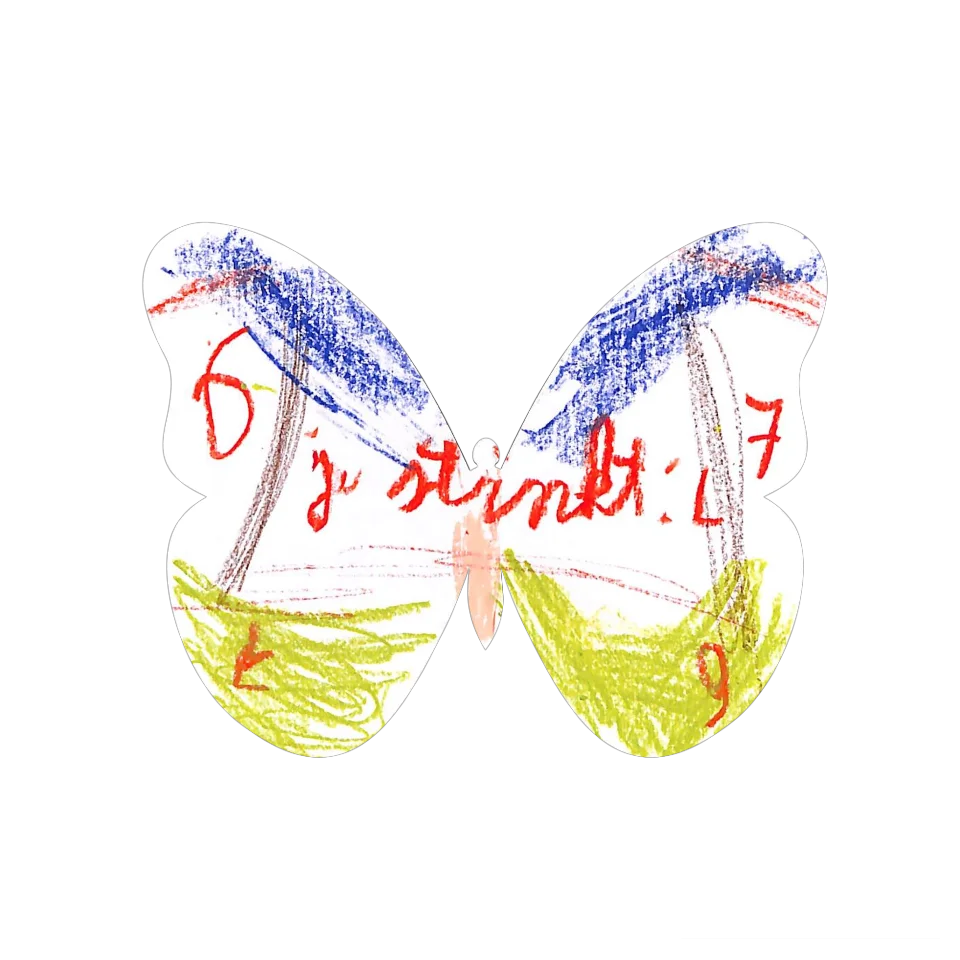 Original Butterfly Image