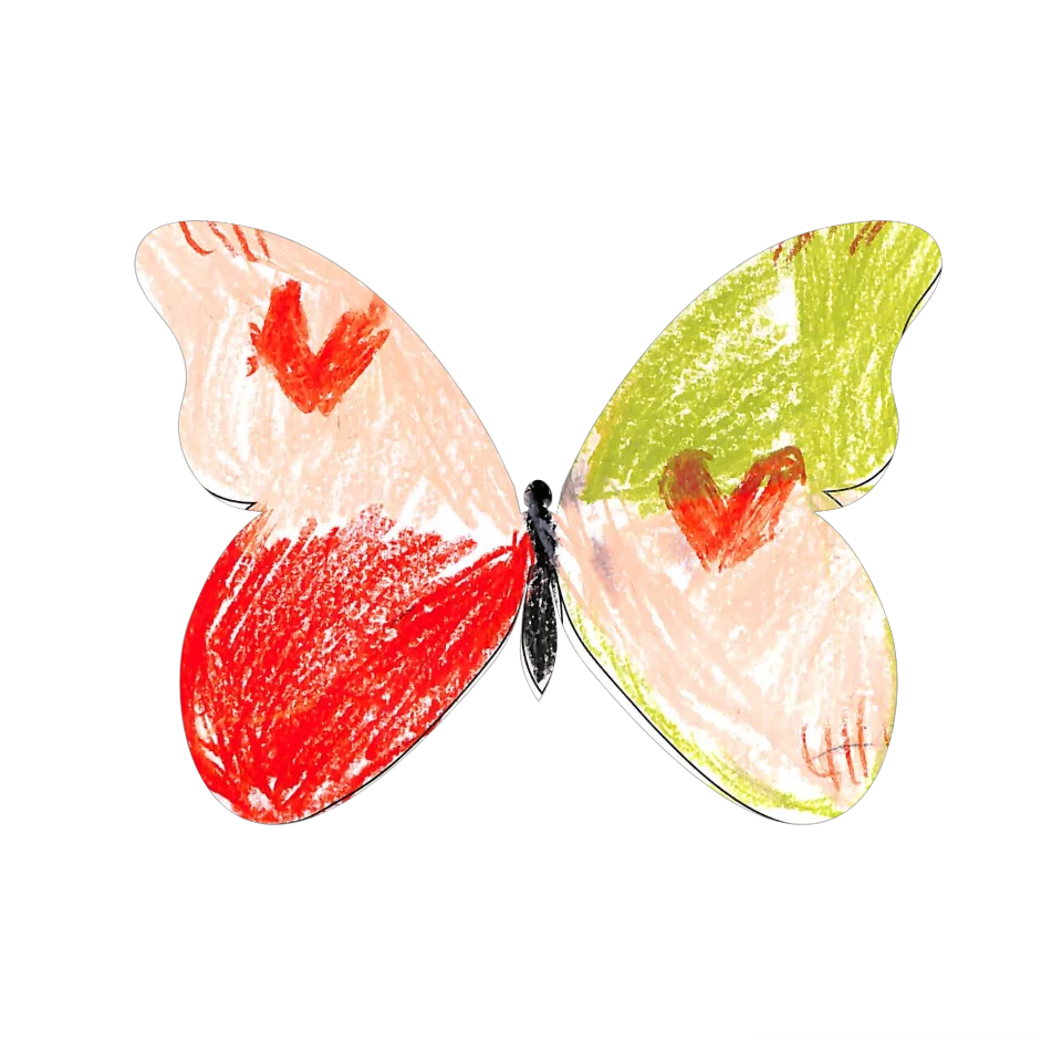 Original Butterfly Image
