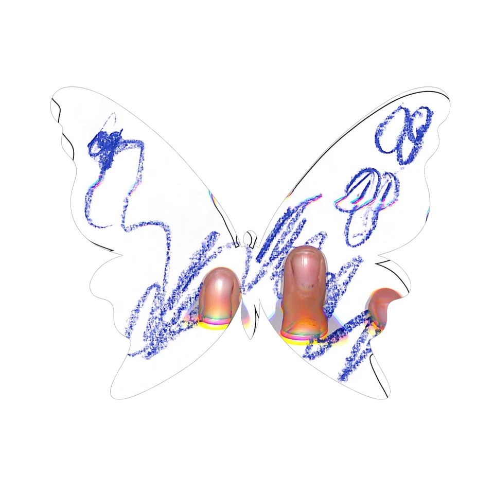Original Butterfly Image