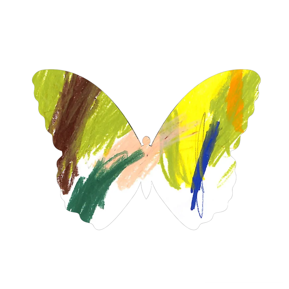 Original Butterfly Image