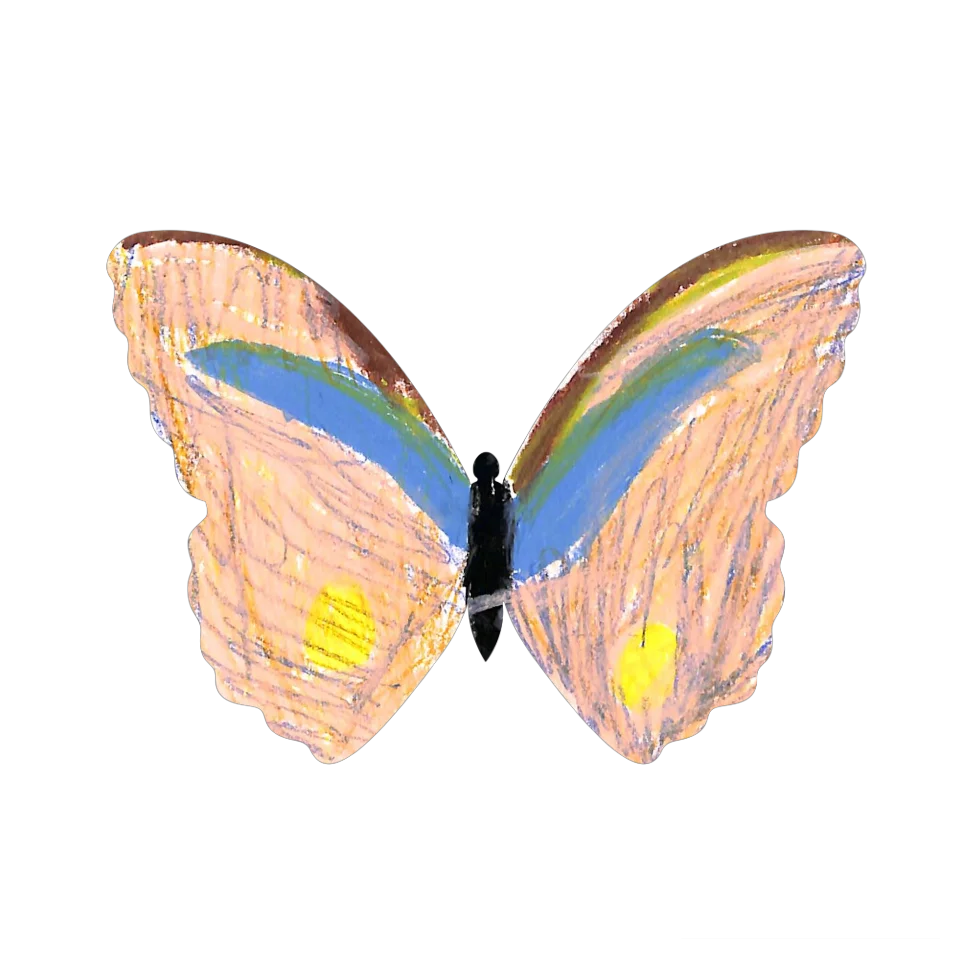 Original Butterfly Image