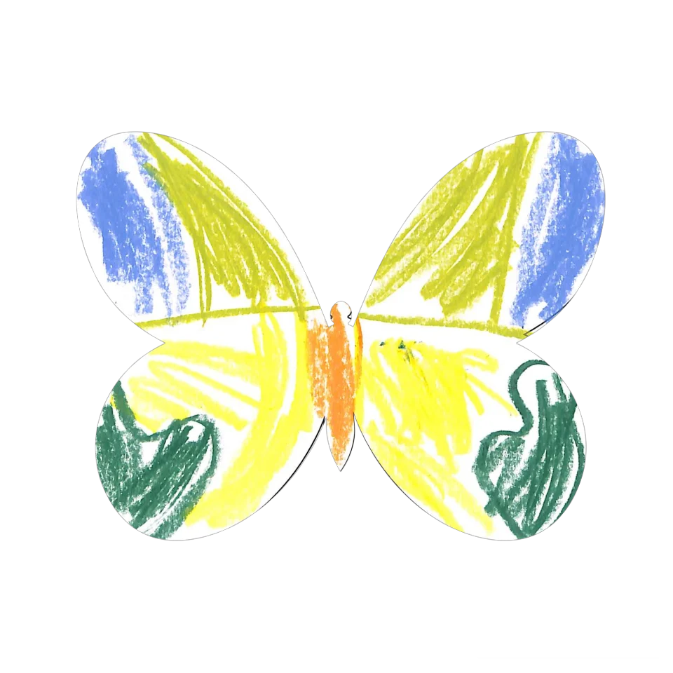 Original Butterfly Image