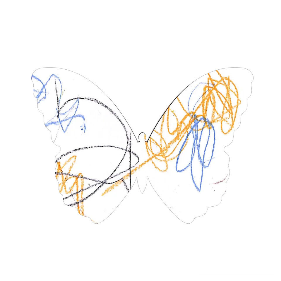 Original Butterfly Image