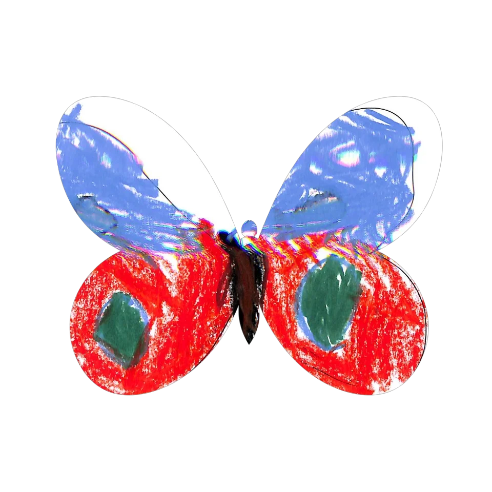 Original Butterfly Image