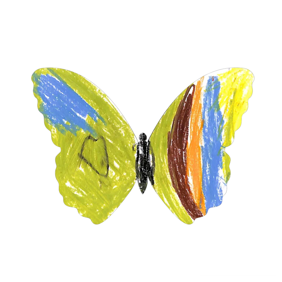 Original Butterfly Image