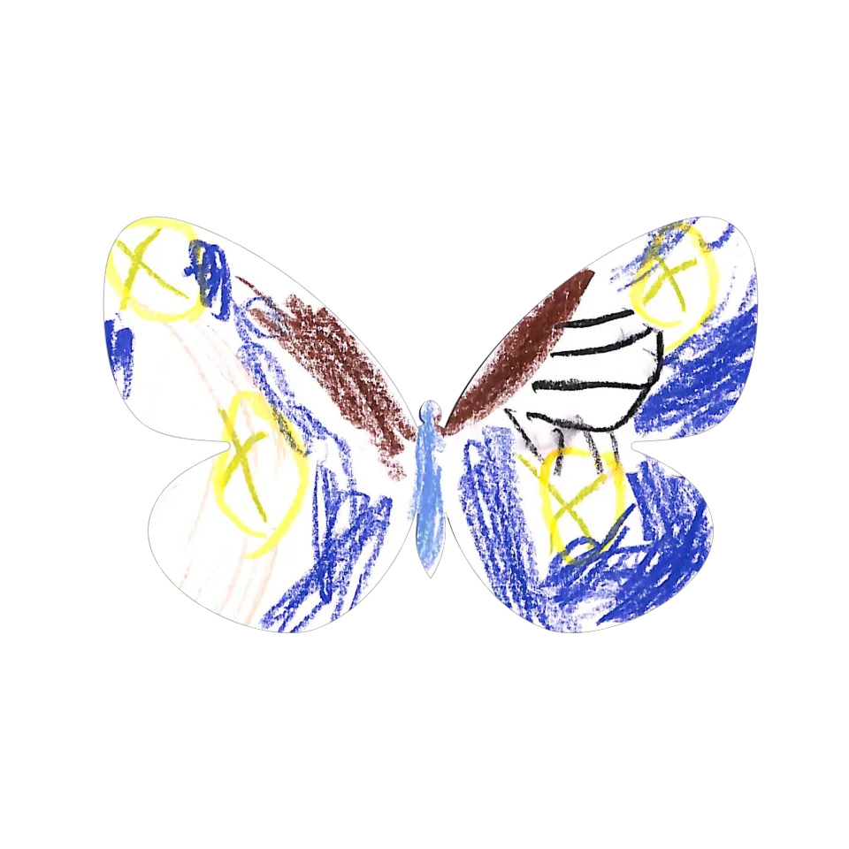 Original Butterfly Image