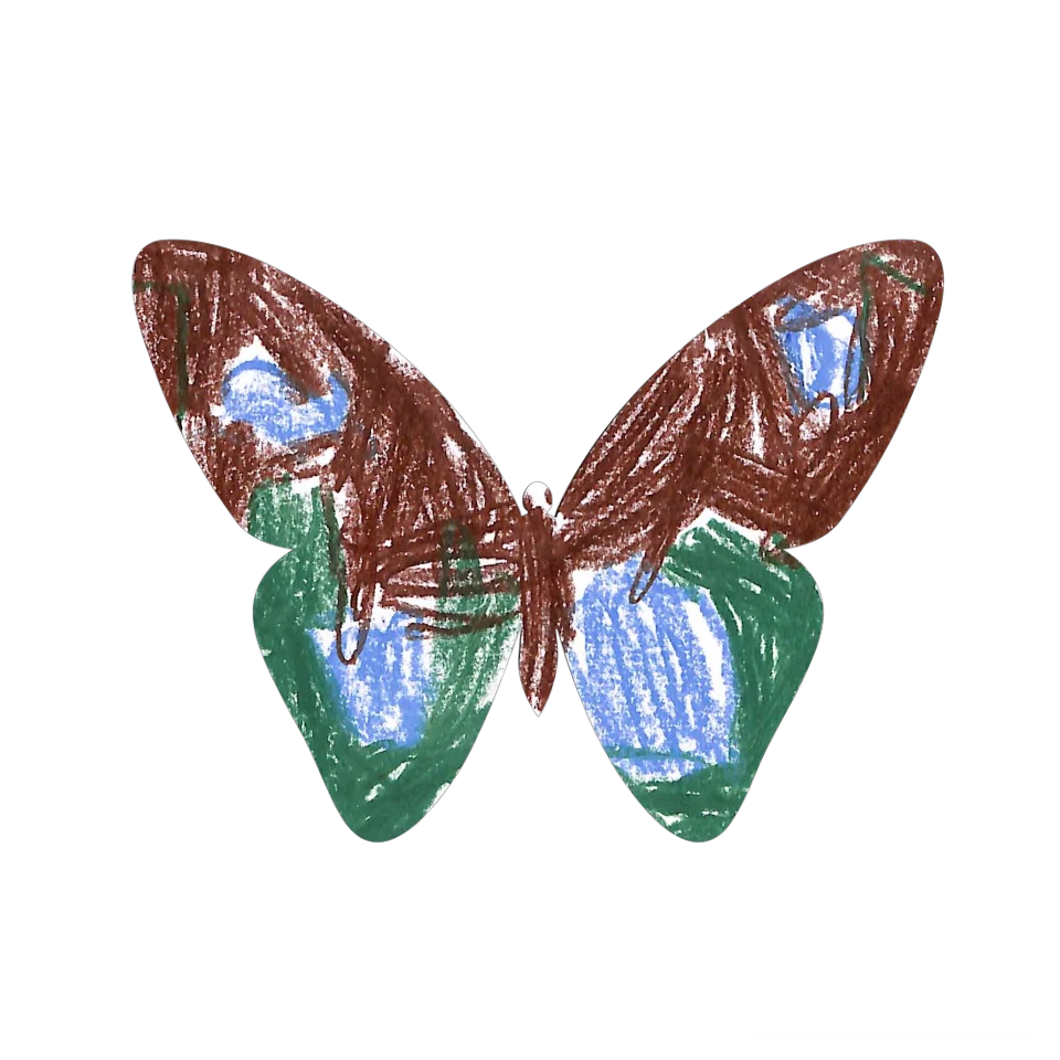 Original Butterfly Image