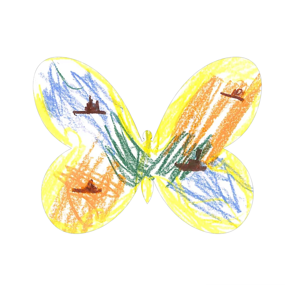 Original Butterfly Image