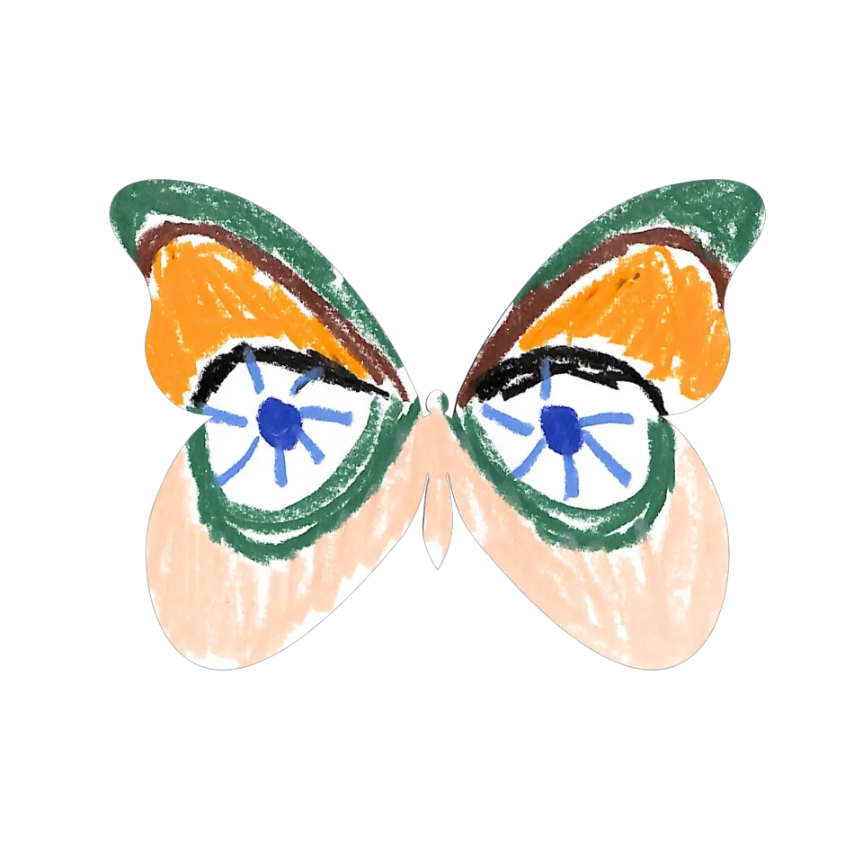 Original Butterfly Image
