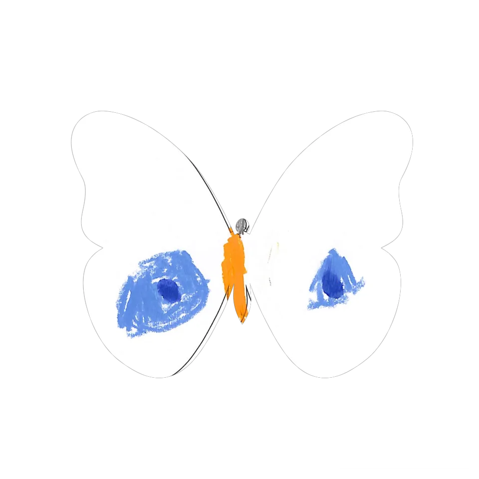 Original Butterfly Image