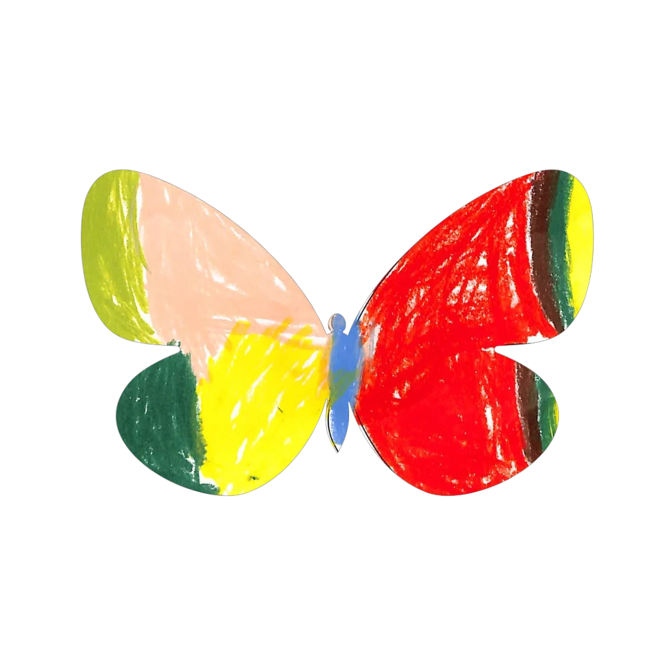 Original Butterfly Image