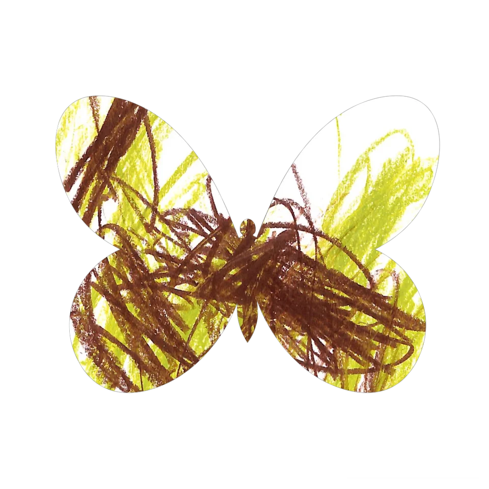 Original Butterfly Image