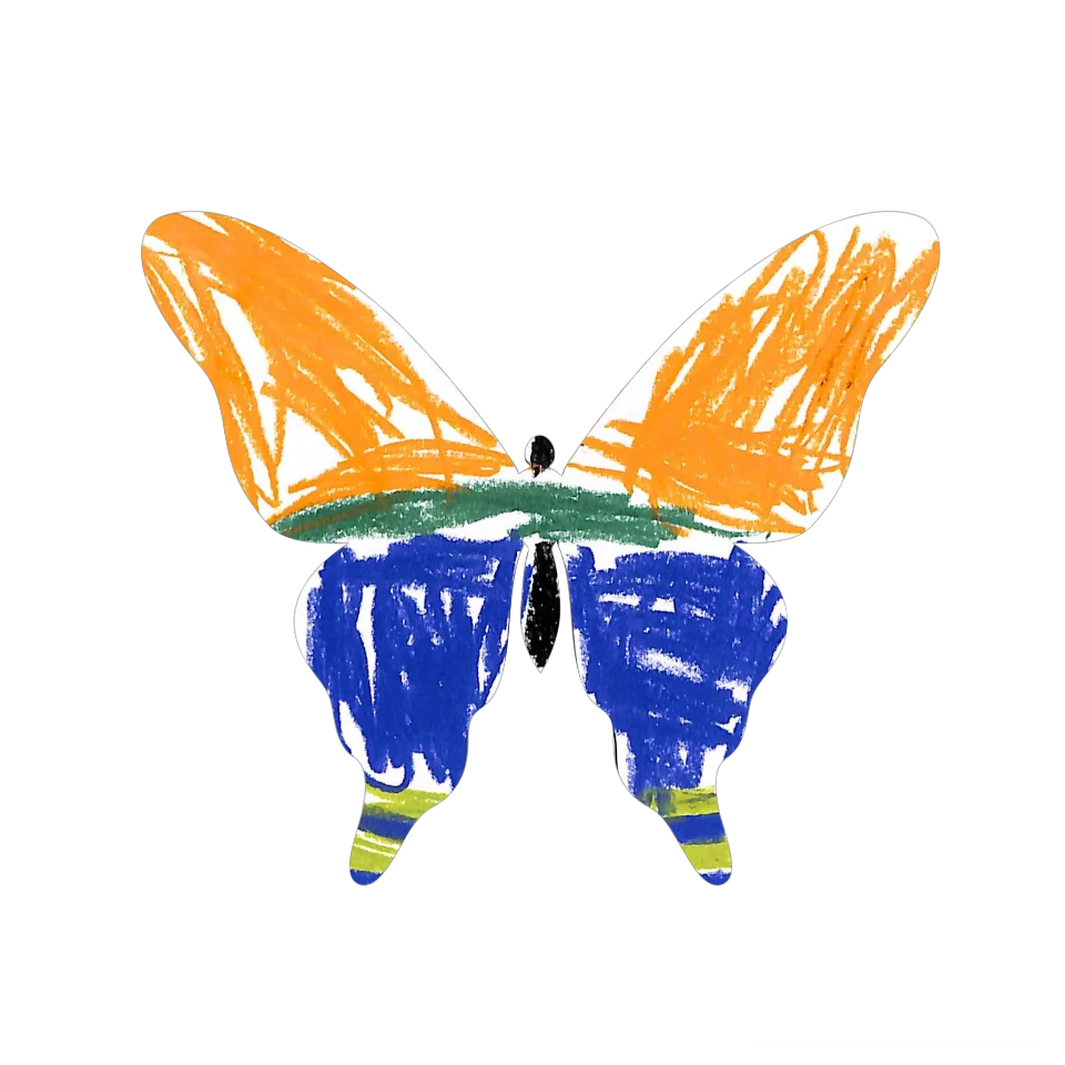 Original Butterfly Image