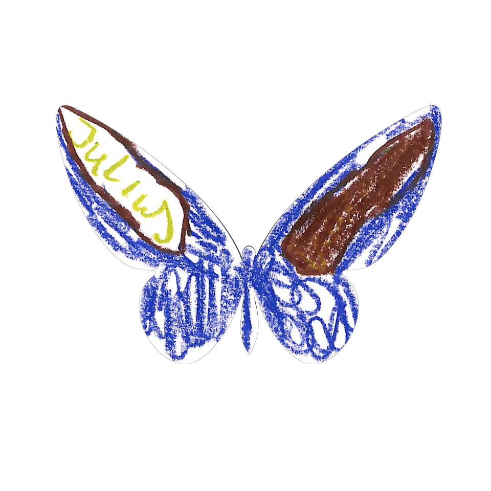 Original Butterfly Image