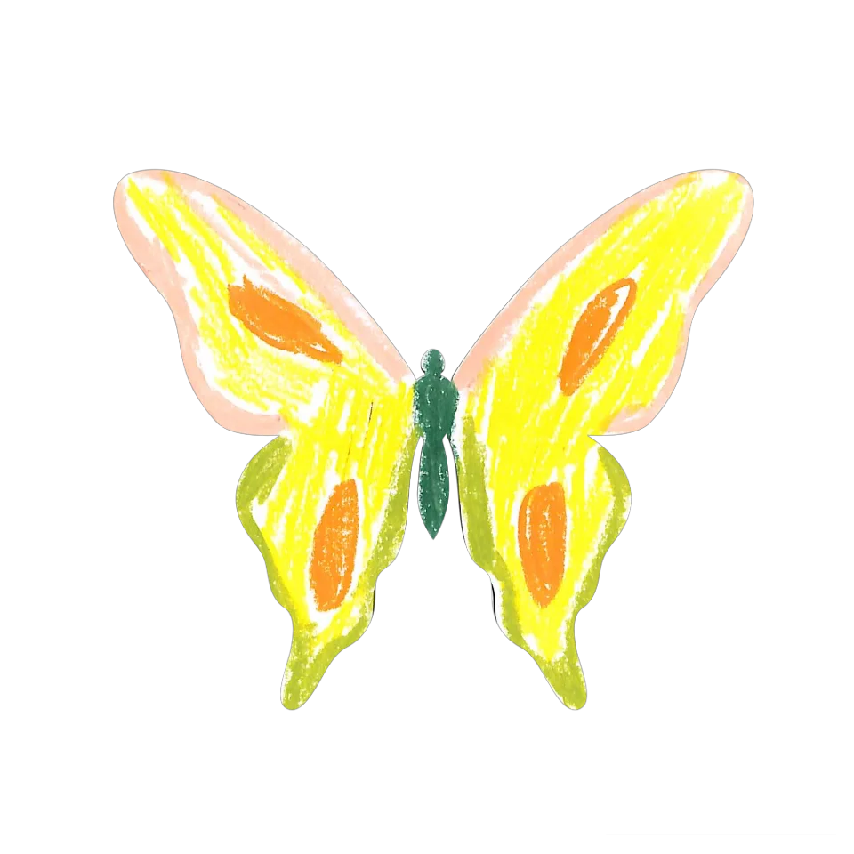 Original Butterfly Image