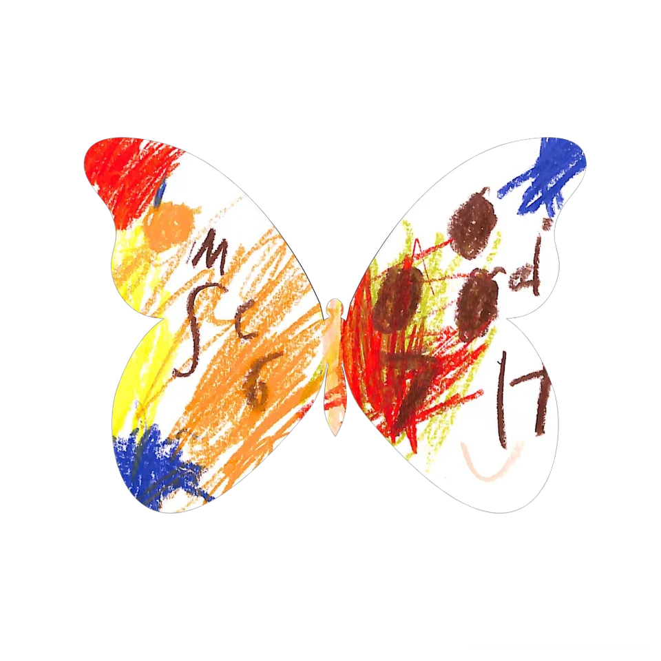 Original Butterfly Image