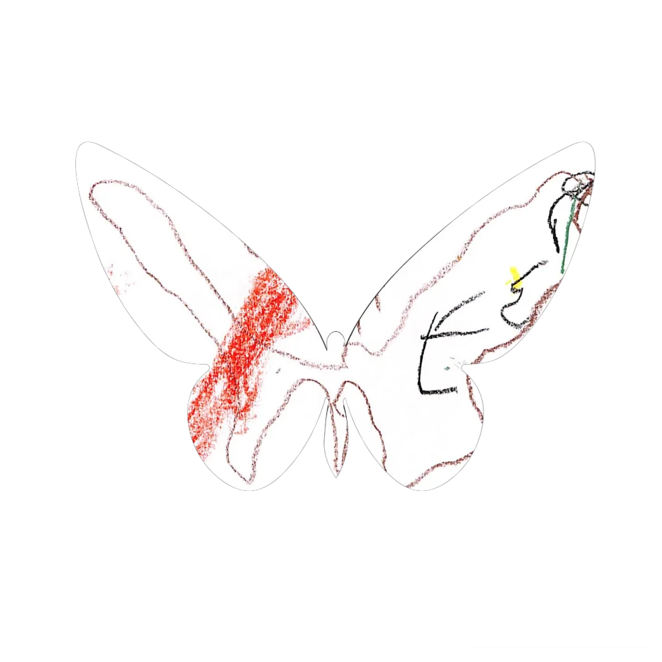Original Butterfly Image