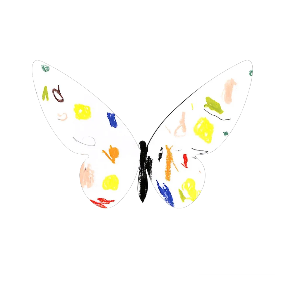 Original Butterfly Image