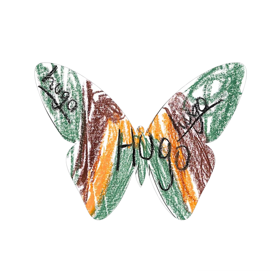 Original Butterfly Image