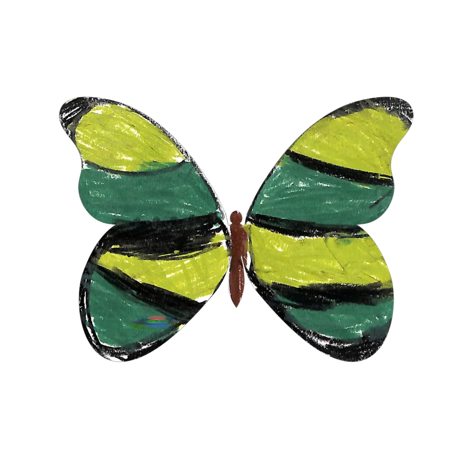 Original Butterfly Image