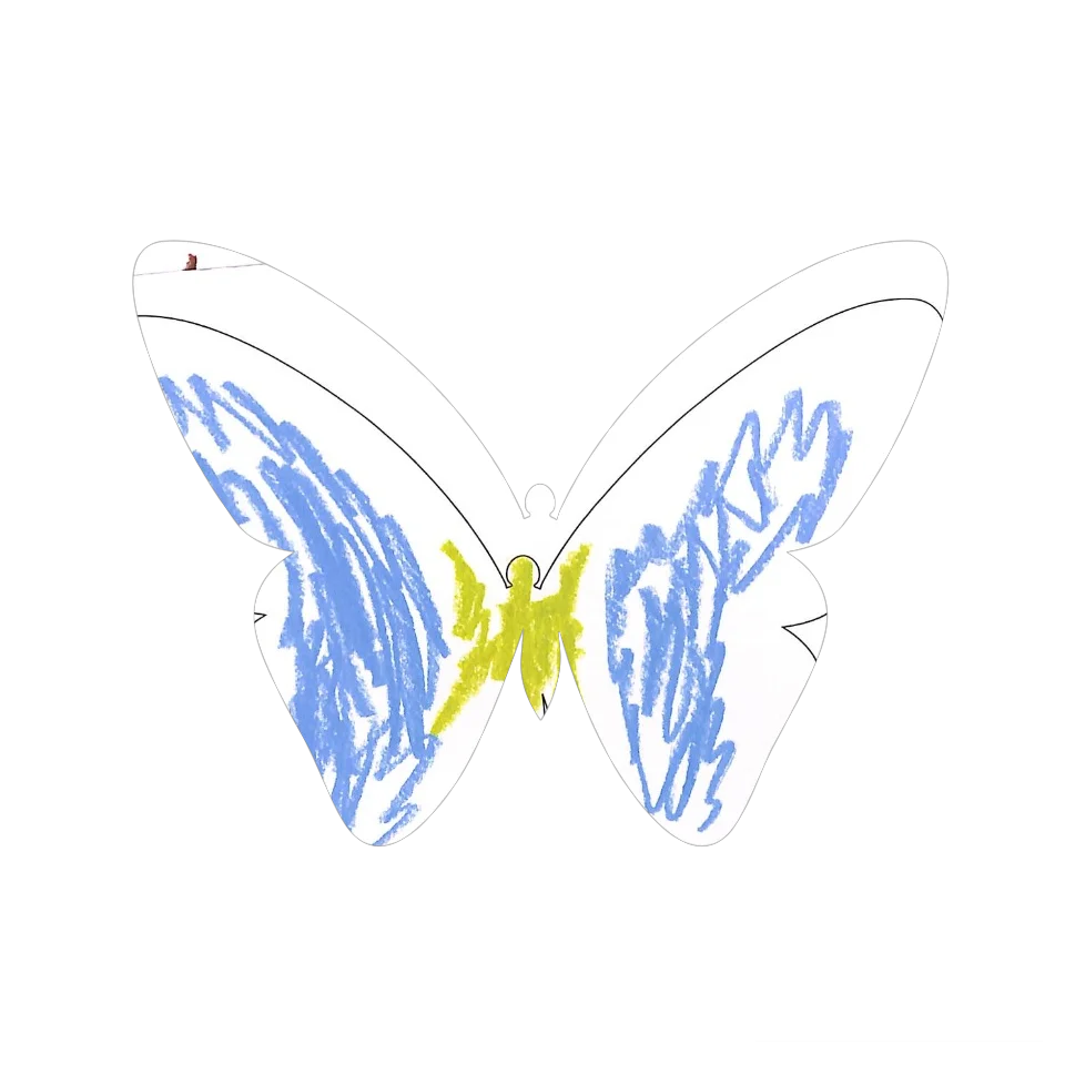 Original Butterfly Image