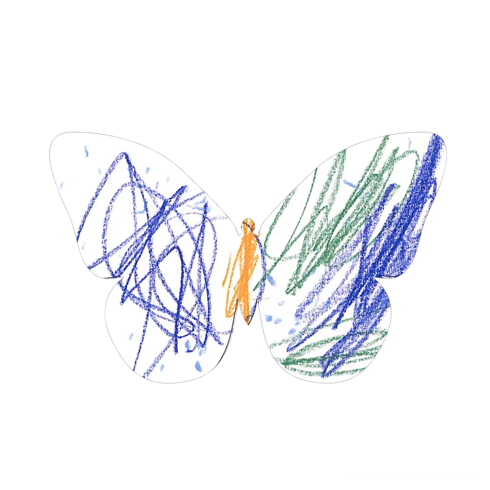 Original Butterfly Image
