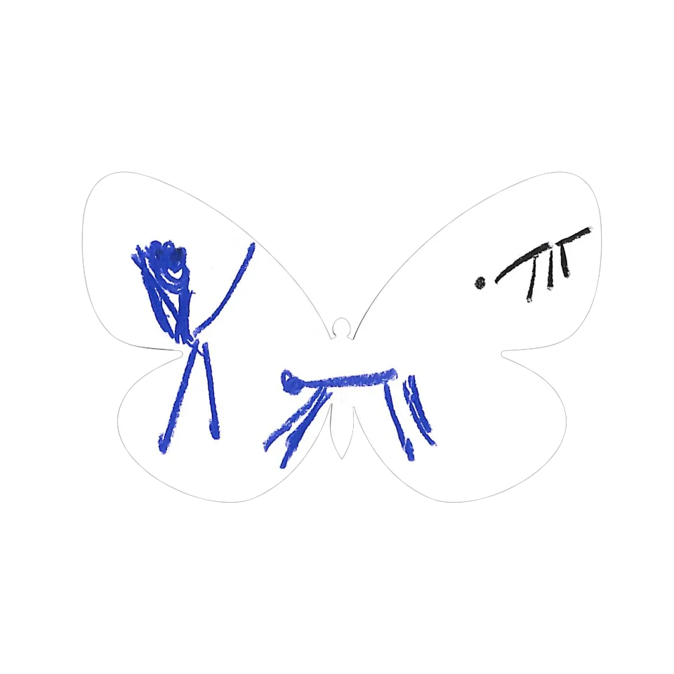 Original Butterfly Image