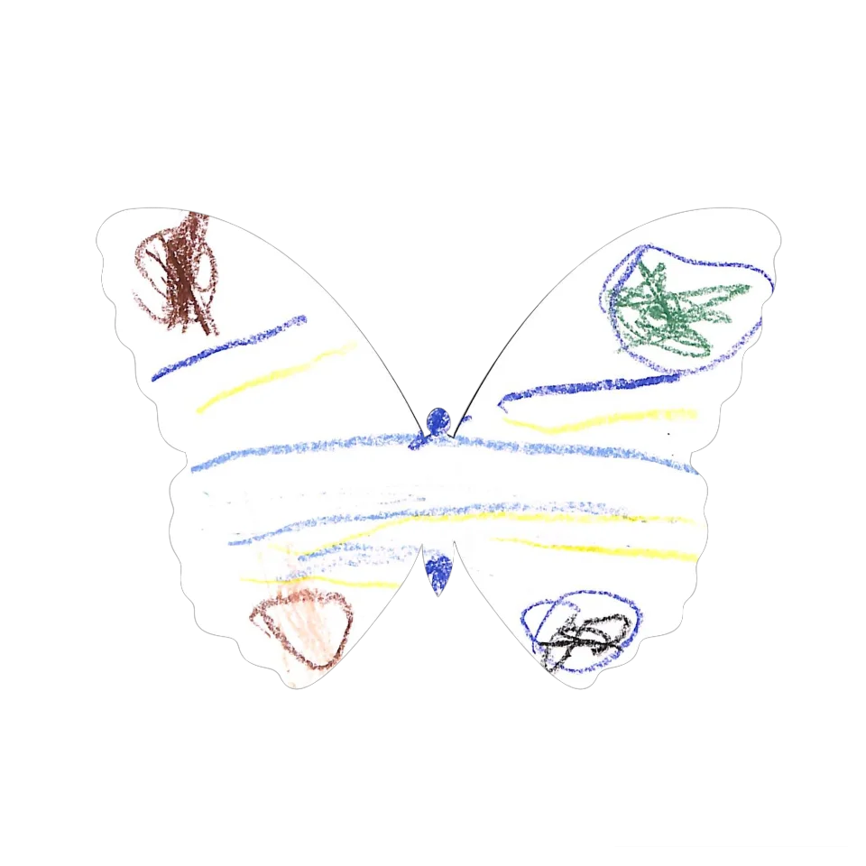 Original Butterfly Image