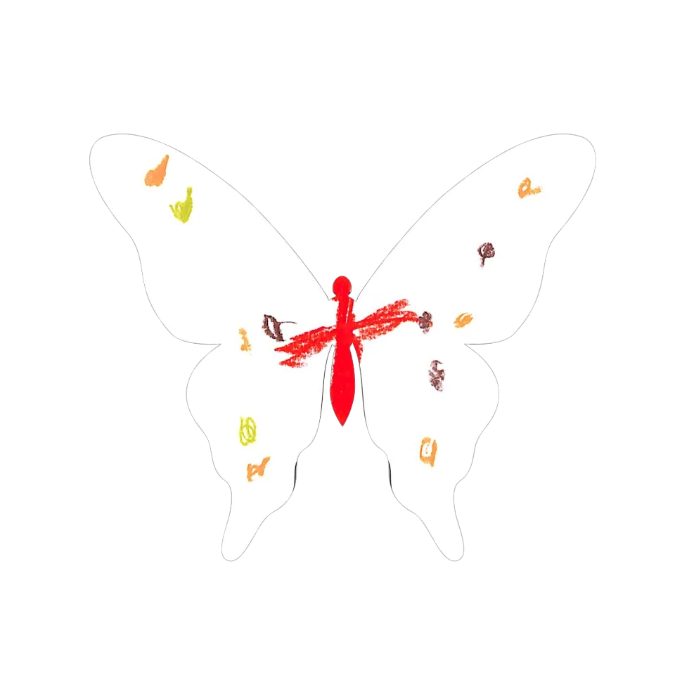 Original Butterfly Image