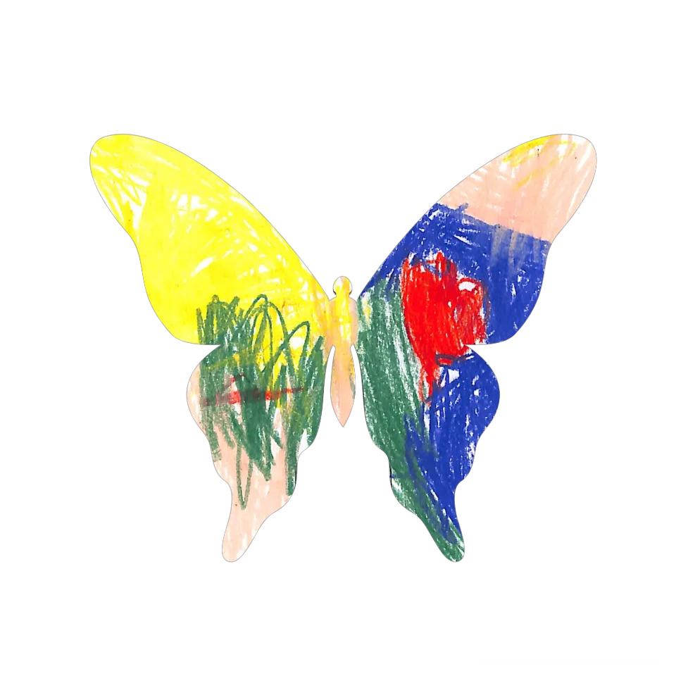Original Butterfly Image