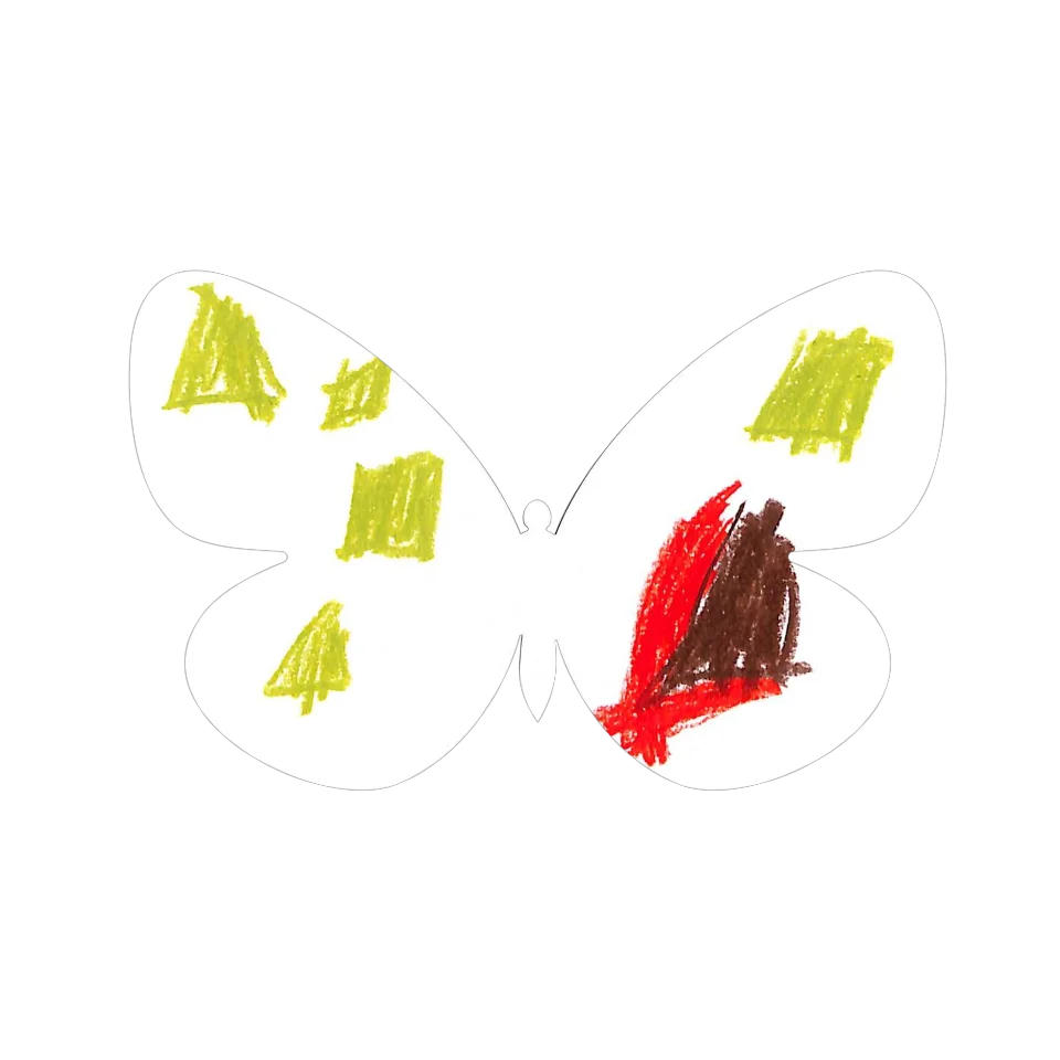Original Butterfly Image