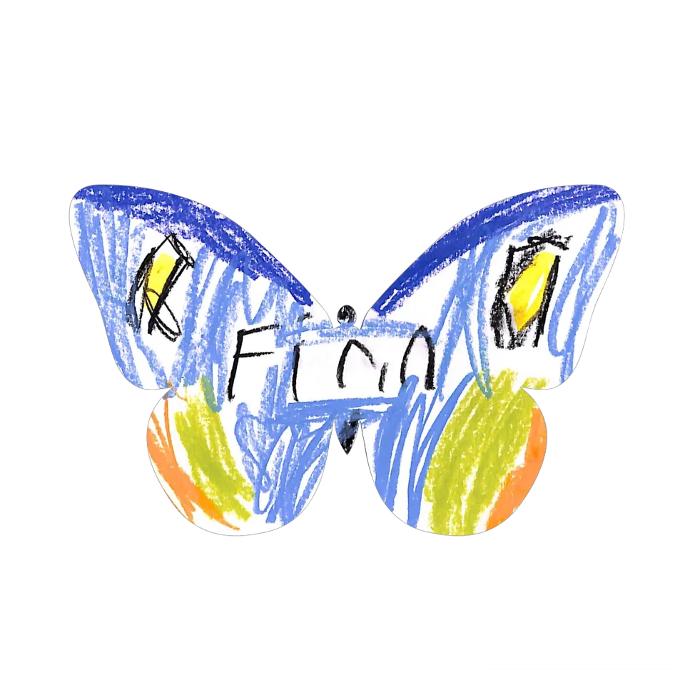 Original Butterfly Image
