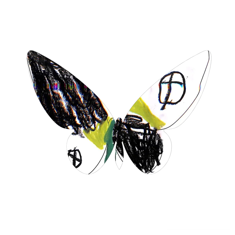 Original Butterfly Image